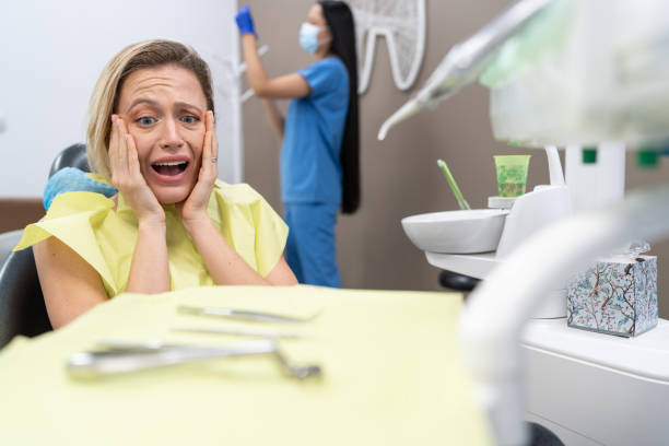Best 24-Hour Emergency Dentist  in Paden City, WV